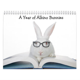 Calendrier Année des lapins albinos