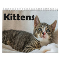 Calendrier annuel de photos de chatons animaux de