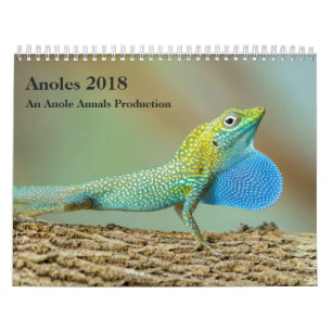 Calendrier Anoles 2018 - Une production d'annales d'Anole