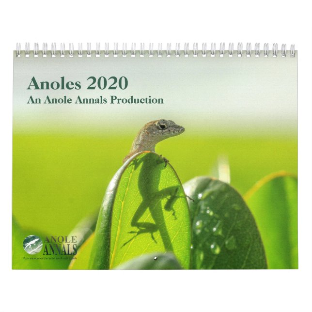Calendrier Anoles 2020 - Production d'anneaux (Protection)