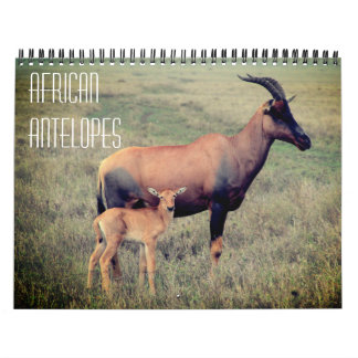 Calendrier antilopes africaines 2027