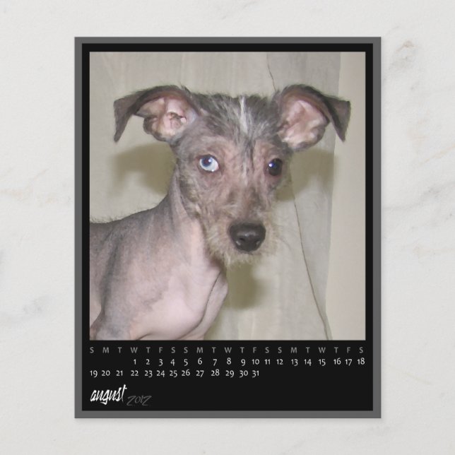 calendrier août 2012 (Devant)
