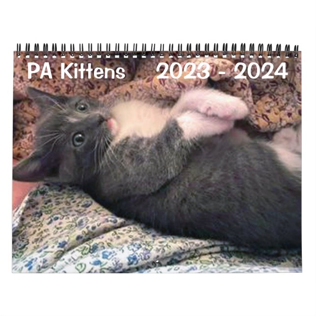 Calendrier AP Kittens 2 ans (Protection)