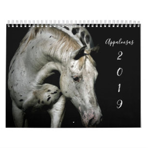 Calendrier Appaloosa