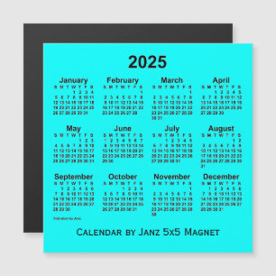 Calendrier Aqua 2025 par Janz 5x5 Magnet