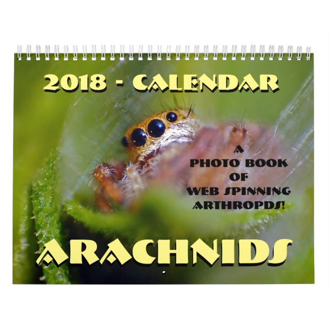 Calendrier Arachnids (Protection)