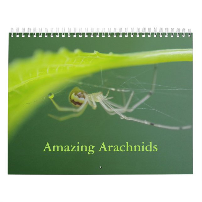 Calendrier Arachnids Araignées Extraordinaires (Protection)