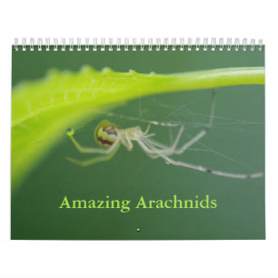 Calendrier Arachnids Araignées Extraordinaires