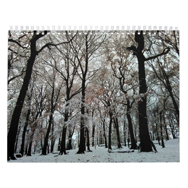Calendrier Arbres (Protection)
