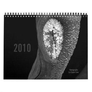 Calendrier Arbres 2010