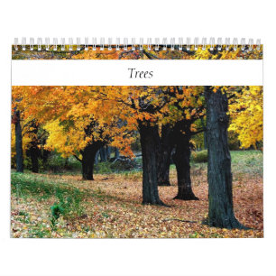 Calendrier Arbres toute année