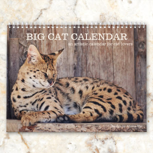 Calendrier artistique de Big Cat