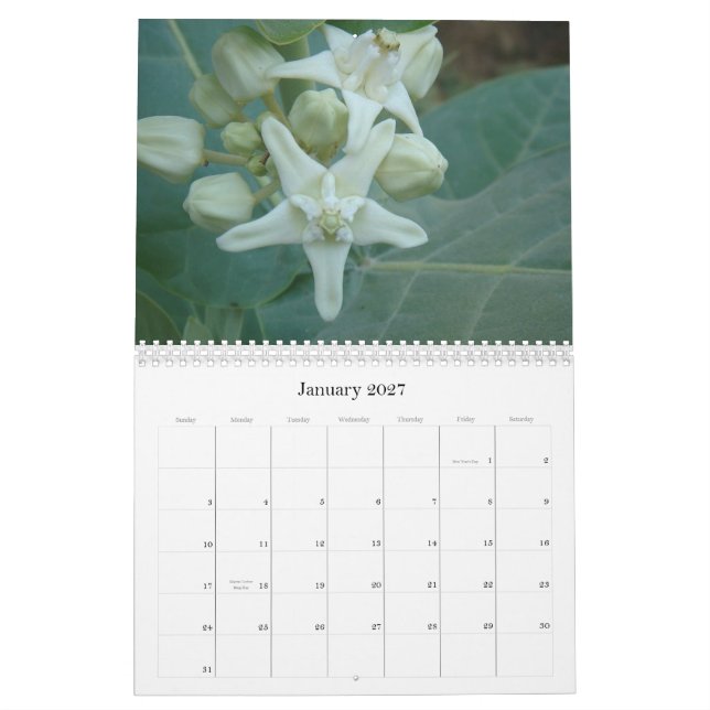 Calendrier asiatique du sud de fleurs (Jan 2027)