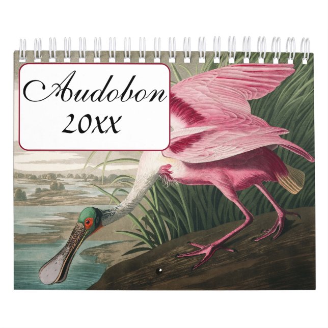 Calendrier Audobon Bird (Protection)