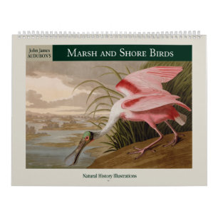 Calendrier Audubon's Marsh and Shore Birds 2025