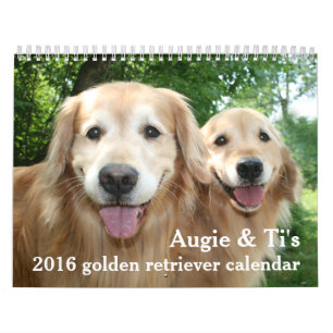 Calendrier Augie et chien 2016 du golden retriever du Ti