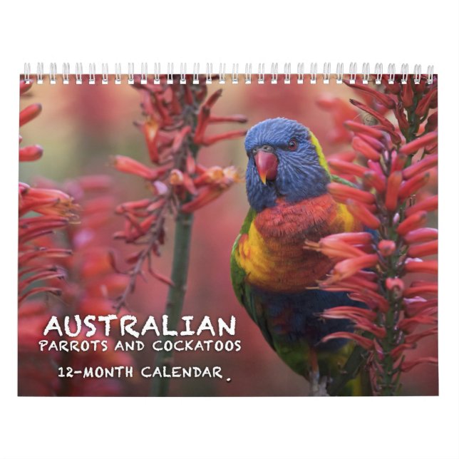 Calendrier australien de perroquets et de cacatoès (Protection)