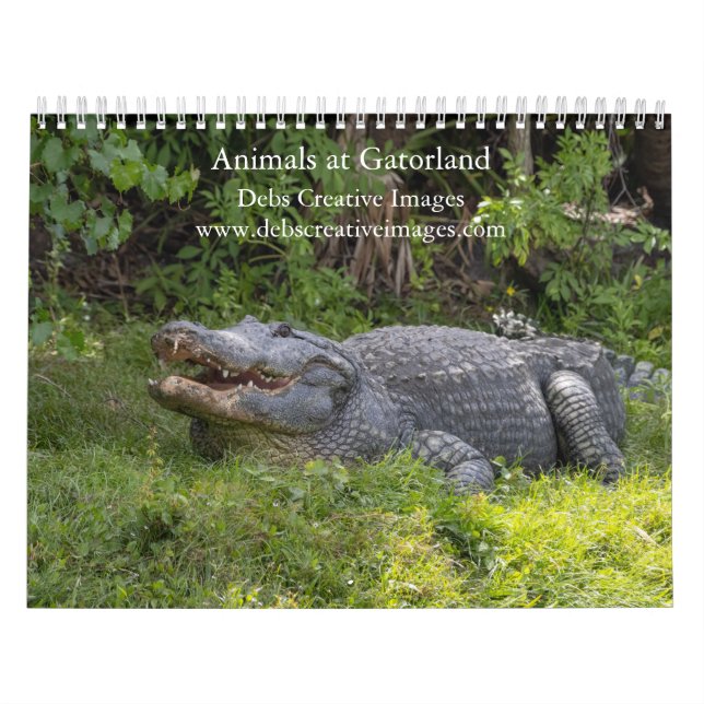 Calendrier Aventure faunique Gatorland 2027 (Protection)