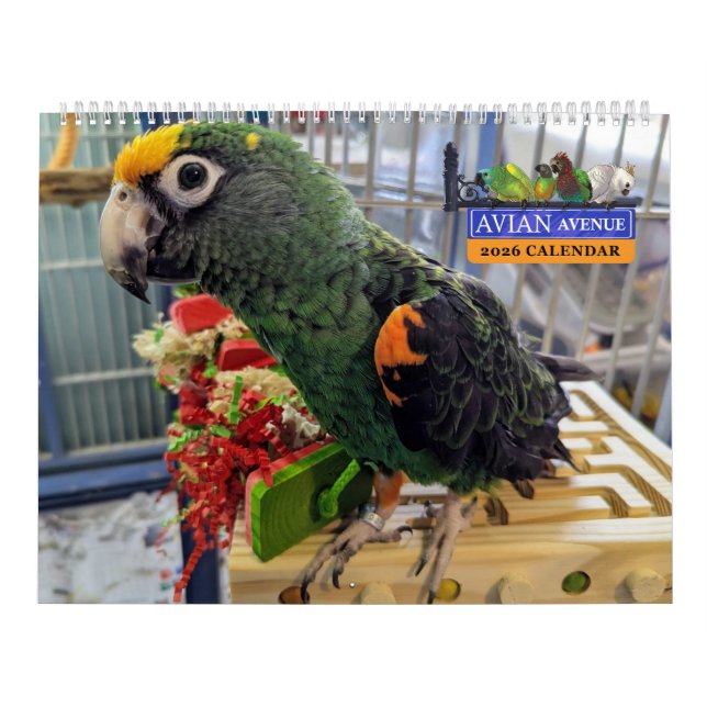 Calendrier Avenue Aviaire 2026 Perroquet (Protection)