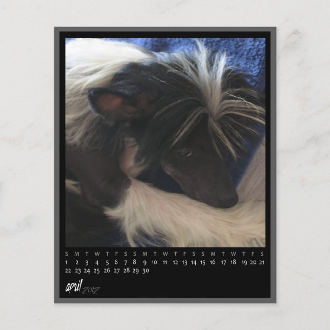 calendrier avril 2012 (Devant)