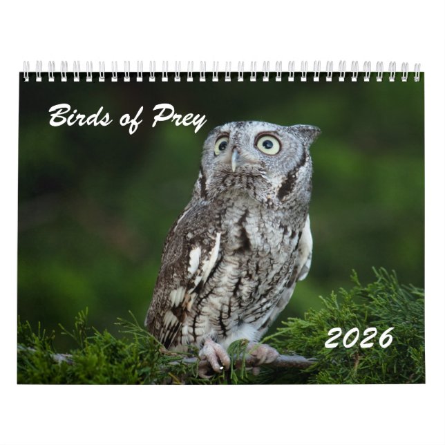 Calendrier Awesome Birds of Prey 2026 photo calendar (Protection)