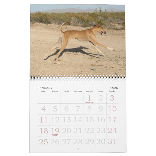 Calendrier Azawakh 2011 (Jan 2026)