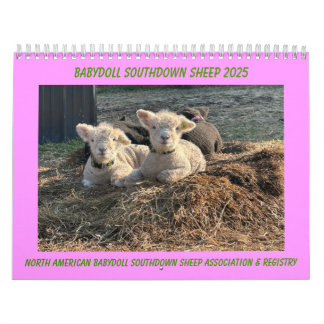 Calendrier Babydoll Southdown Sheep 2025