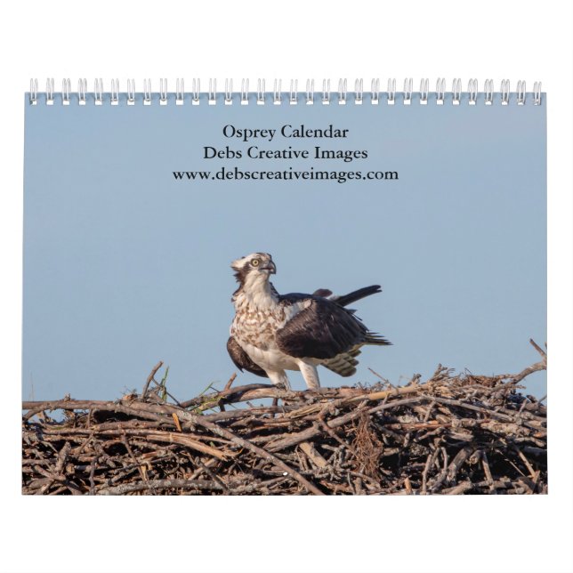 Calendrier Balbuzard 2026 (Protection)