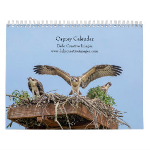 Calendrier Balbuzard pêcheur 2026