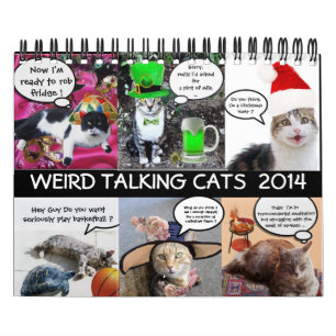 CALENDRIER BANDE-BANDE AMUSANTE DE CATS DE DISCUSSION WEIRD 2