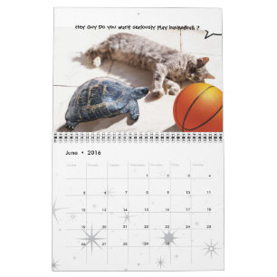 CALENDRIER BANDE-BANDE AMUSANTE DE CATS DE DISCUSSION WEIRD 2