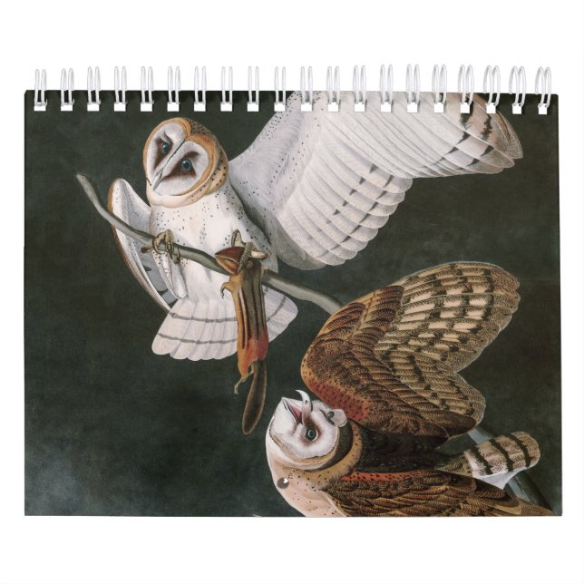 Calendrier Barn Owls, les oiseaux d'Amérique John James Audub (Protection)