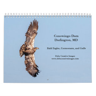 Calendrier Barrage Conowingo 2026