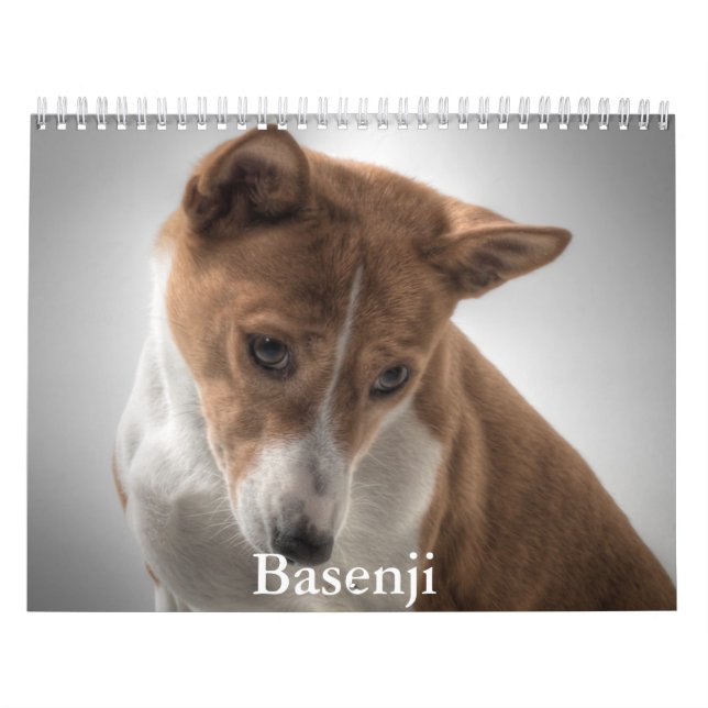 Calendrier Basenji (Protection)