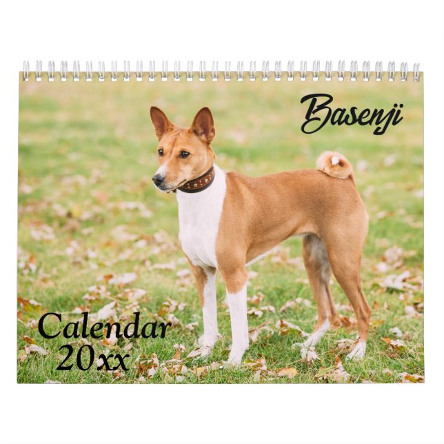 Calendrier Basenji 2026 (Protection)