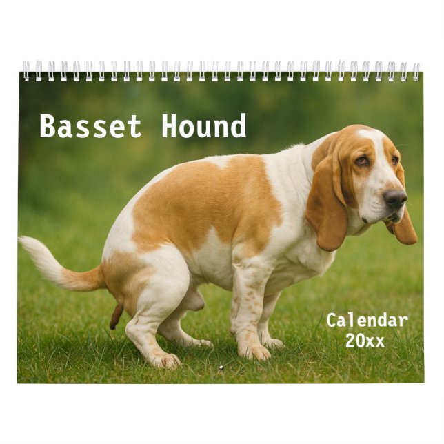 Calendrier Basset Hound Calendar 2026 (Protection)