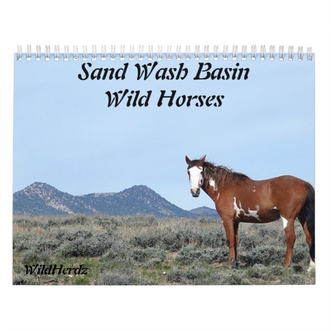 Calendrier Bassin de lavage de sable Chevaux sauvages (Protection)