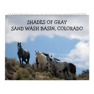 Calendrier Bassin de Sand Wash aux nuances de gris, Colorado