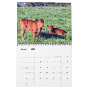 Calendrier Bataille