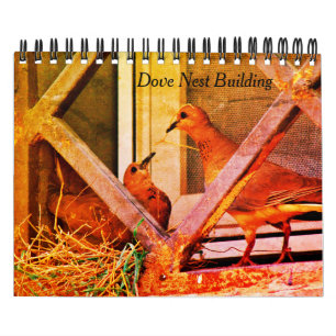 Calendrier Bâtiment de nid de colombe