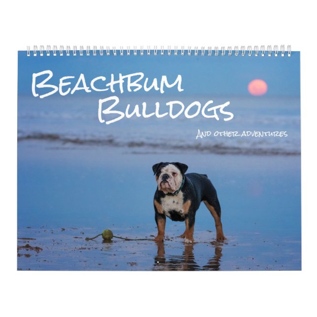 Calendrier Beachbum Bulldogs et autres aventures (Protection)