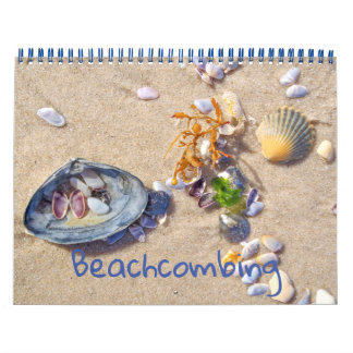 Calendrier Beachcombing
