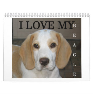 Calendrier Beagle Calender