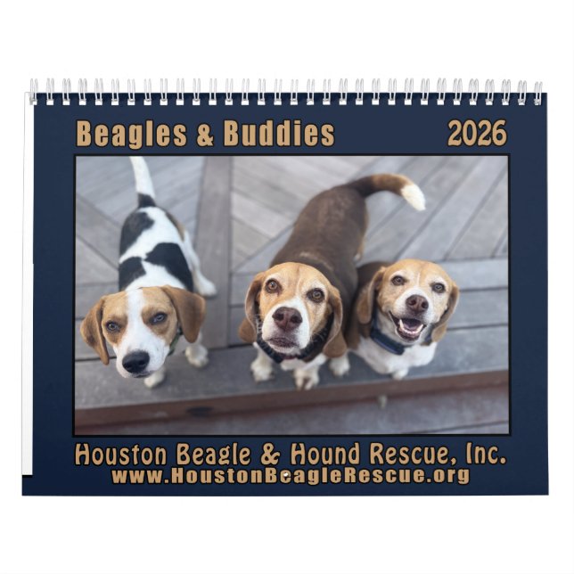 Calendrier Beagles and Buddies 2026 Calendar (Protection)