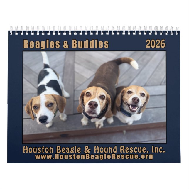 Calendrier Beagles et Buddies 2026 (Protection)