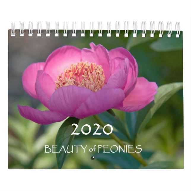 Calendrier Beauté des pivoines en 2020 (Protection)