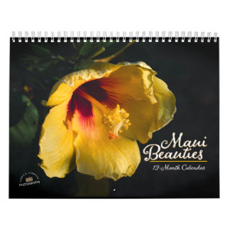 Calendrier beauté Maui