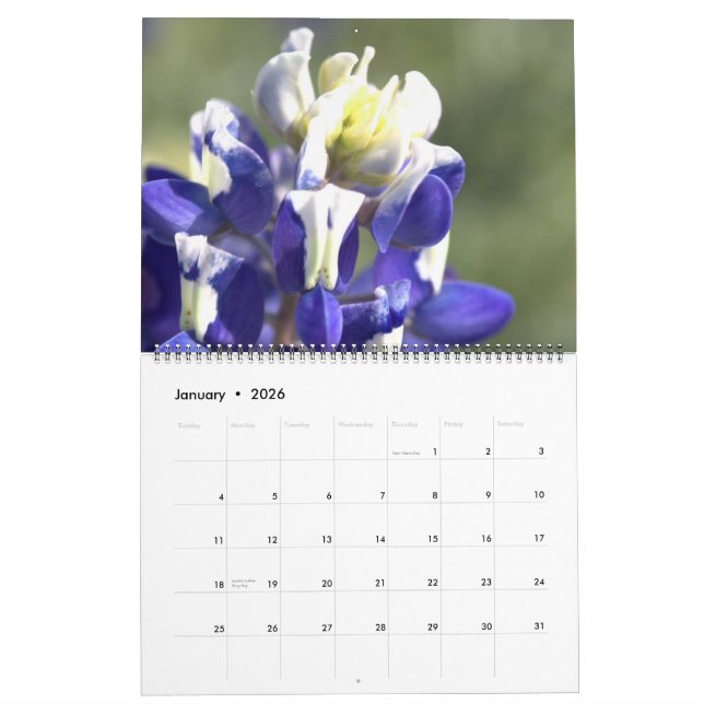 Calendrier Beautés du Texas Créez votre propre Bluebonnet (Jan 2026)