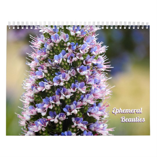 Calendrier Beautés florales de ma Collection Jardin (Protection)