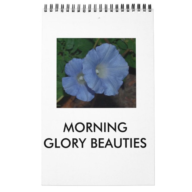 CALENDRIER BEAUTÉS GLOBALES DU MATIN (Protection)